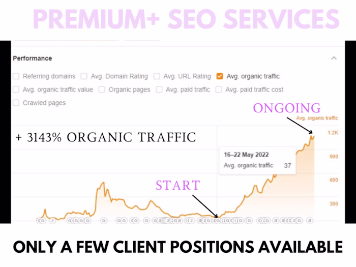 3143% Increase of Organic Traffic for eCommerce Brand