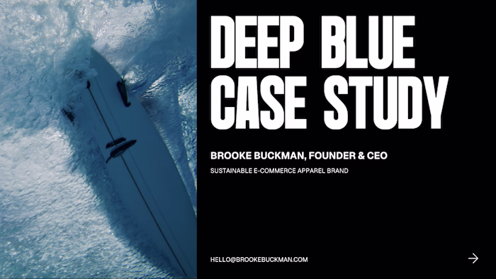 Deep Blue: $0 to $300K+ in Revenue