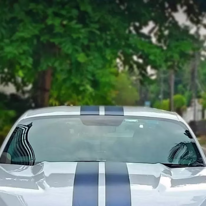 Asutosh Mahapatra on Instagram: “White beast 💀”
