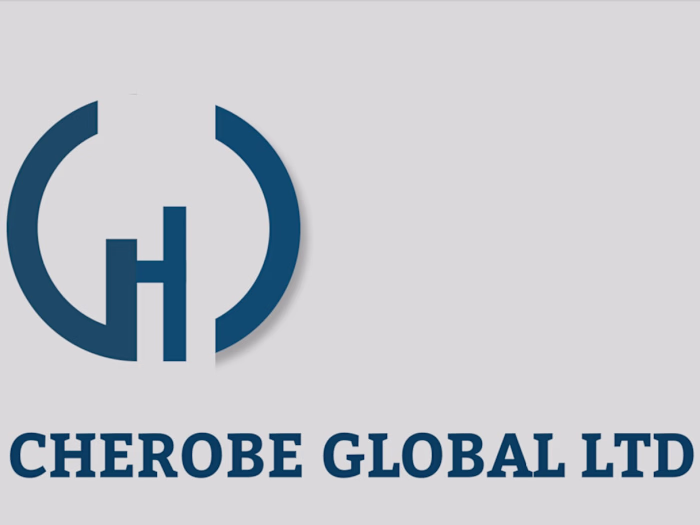 Automobile logo design 