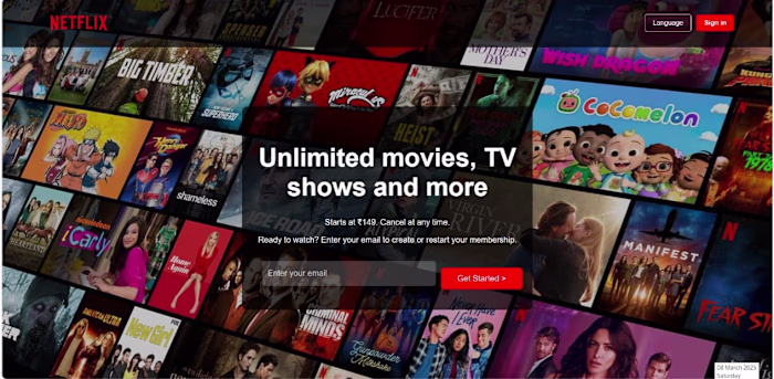 Netflix Clone Website Development