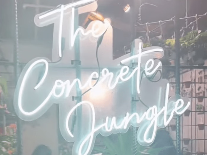 Cafe highlight: The Concrete Jungle