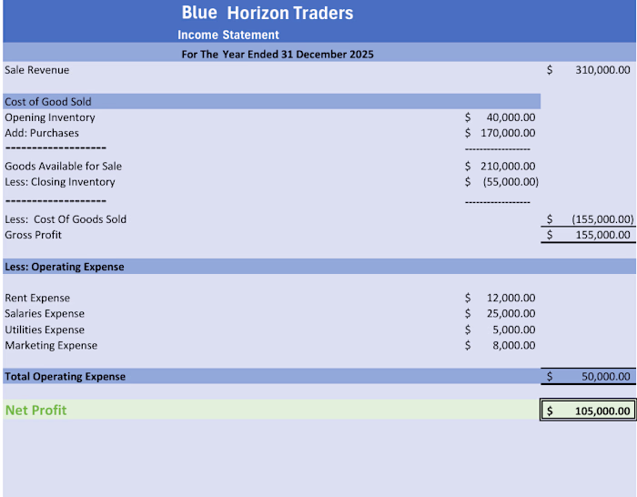 "Prepared a complete Income Statement