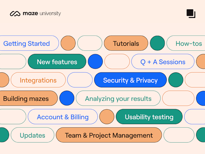 Maze University Identity