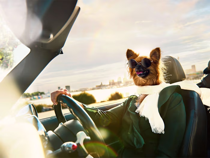 Creative Photo Compositing