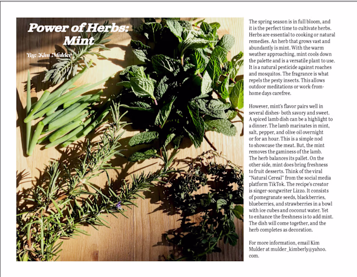 Herb Article: Mint