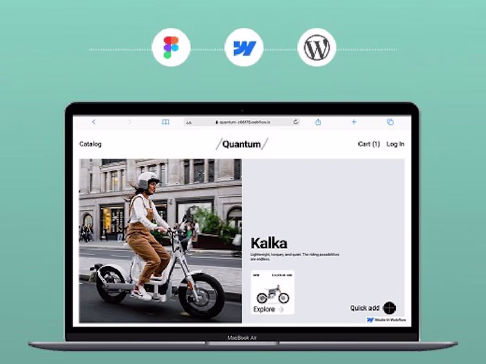 Webflow Ecommerce store with custom filtering
