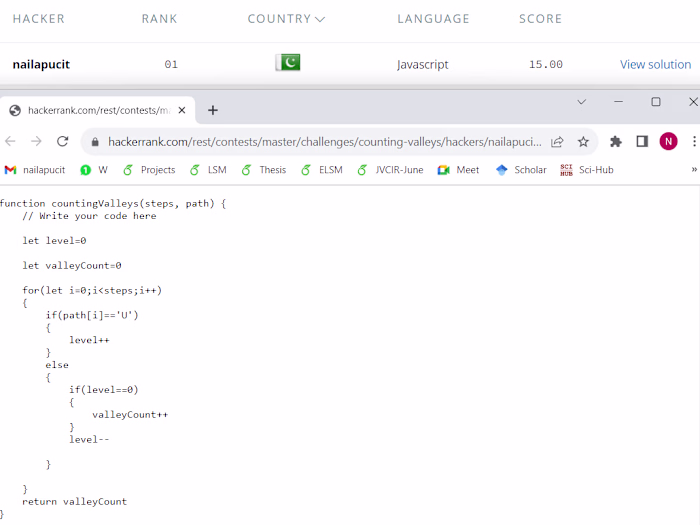 Programming and documentation Expert