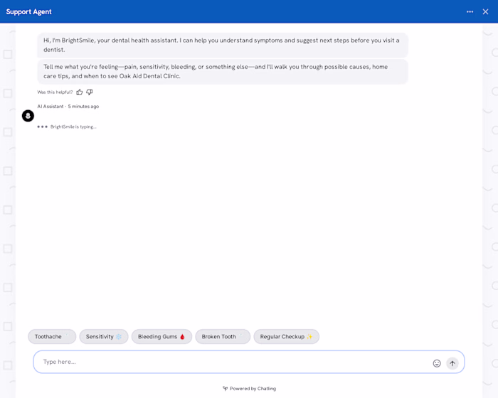 Building an AI Customer Support