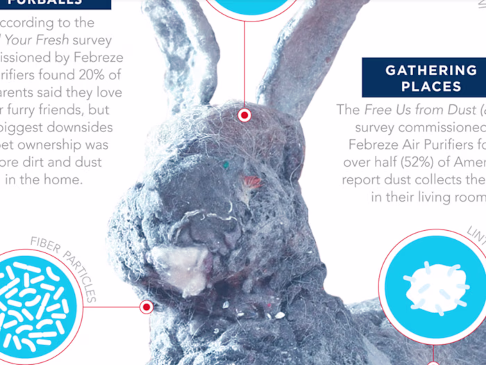 Infographic for Febreze
