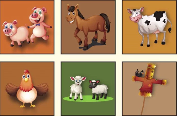 Animal llustration and Charactor Design For Children