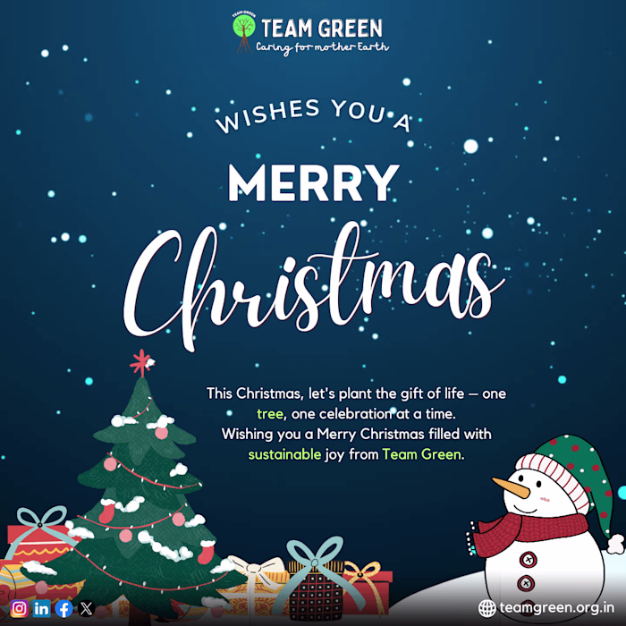 Instagram post for Team Green Organization