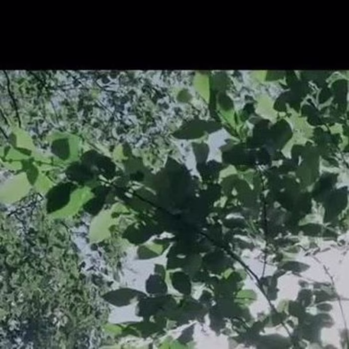 Lemonspaces GARDEN CITY Campaign 