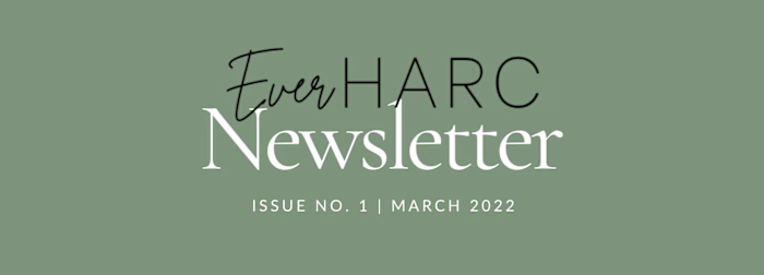 Blog Newsletter