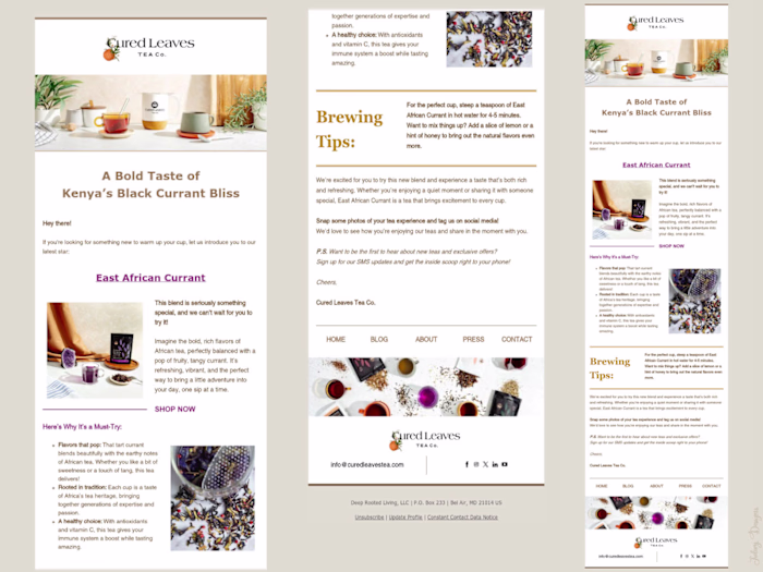 Newsletter Template