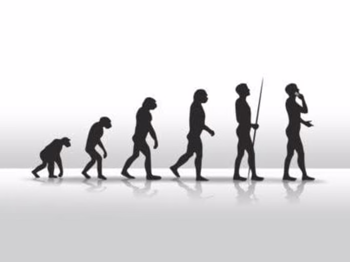 Evaluation of human 