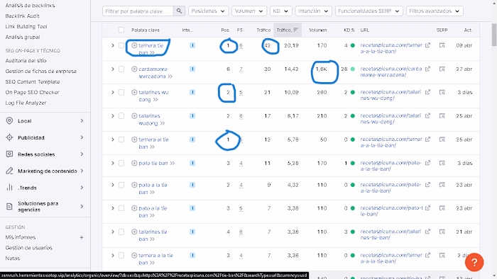Especialista en SEO on-page y off-page