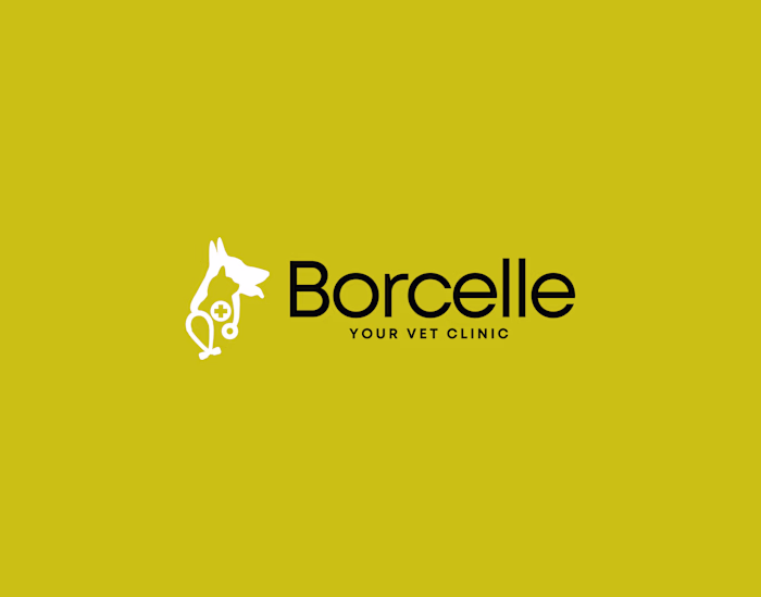 Borcelle Veterinary Clinic Brand Identity Design