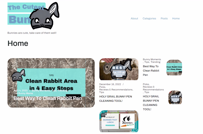 Customized WordPress Website Development
