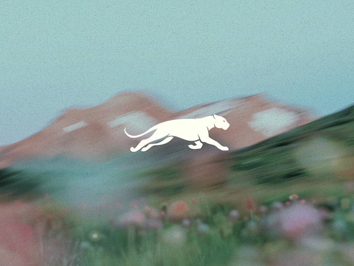 Jaguar logo design.