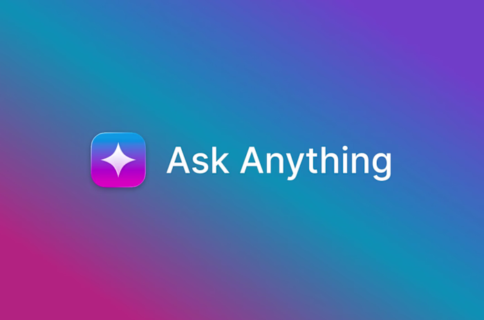 Ask Anything: an AI shopping