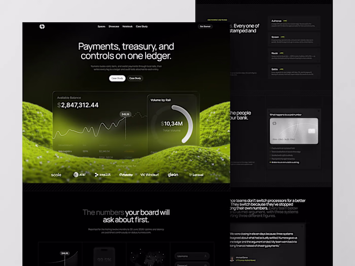 Numero - Payment and Treasury Control Landing Page