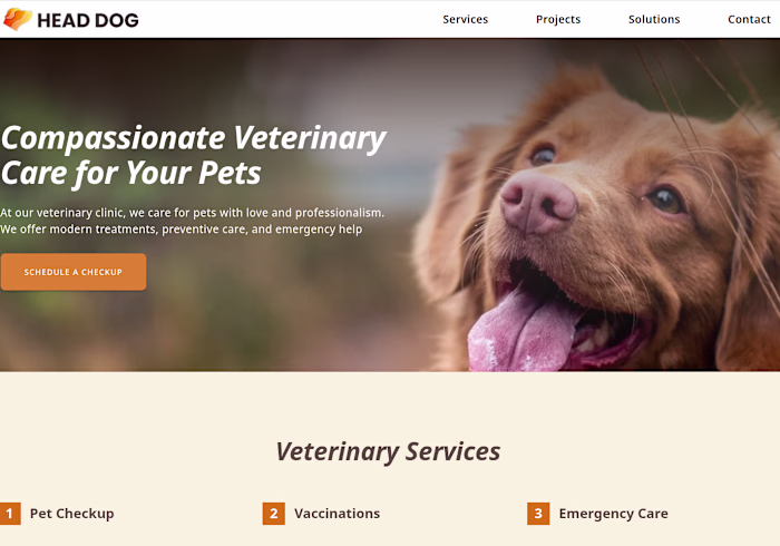 Website project for Webicodo Demo,