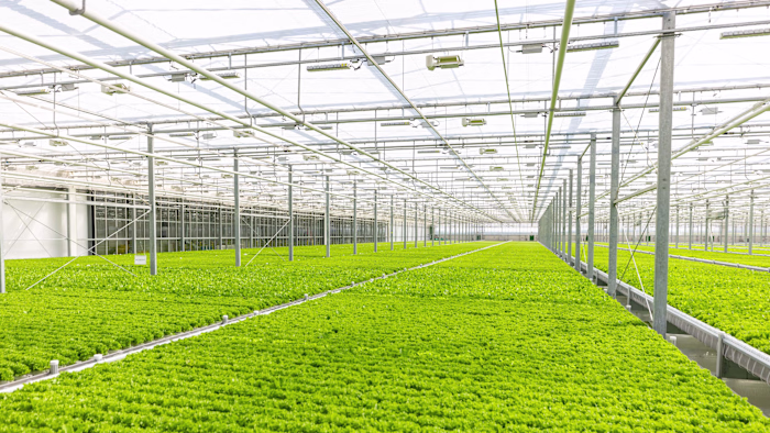 Agricultural investment supports food security while tapping...