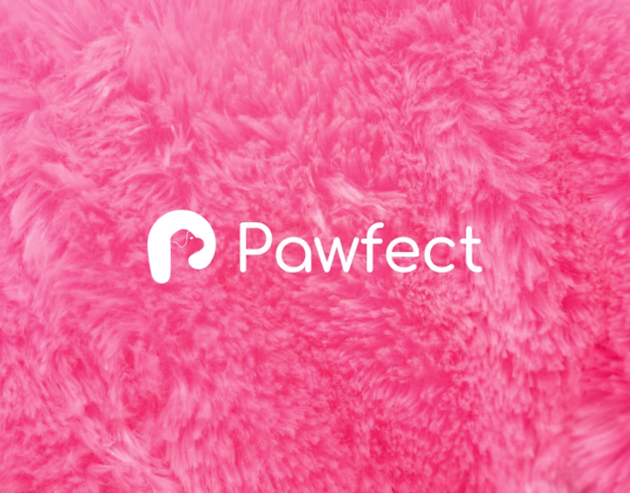 Pawfect grooming salon - Brand Identity