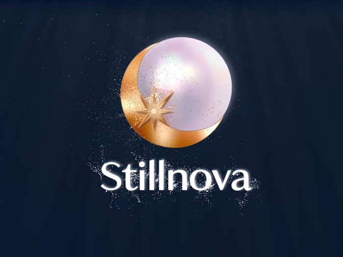 Particle Logo Animation / Logo