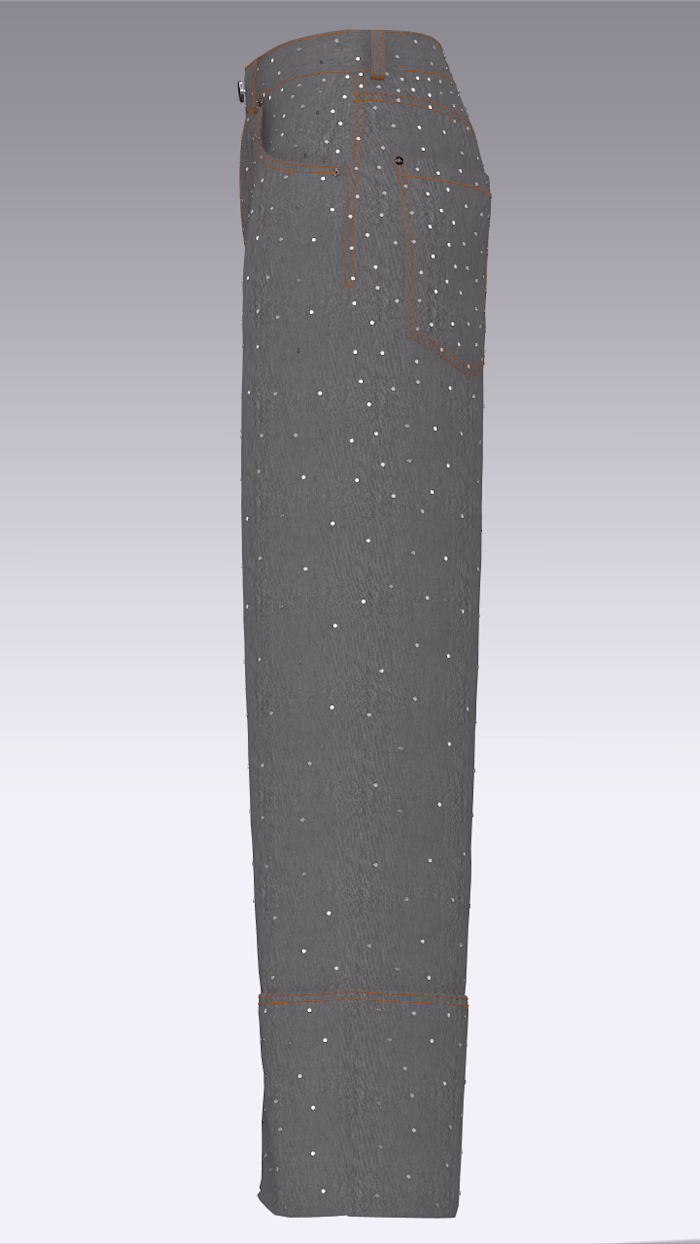 Project Description (CLO 3D &