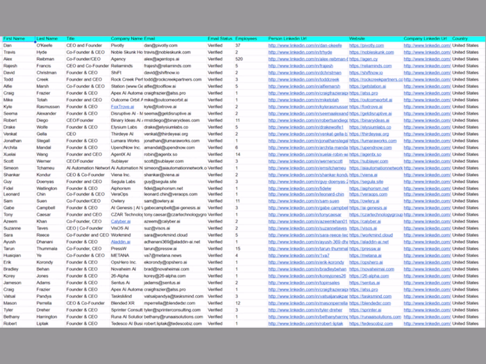 AI Automation Company Lead Generation (USA)