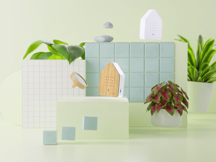Motion Graphics