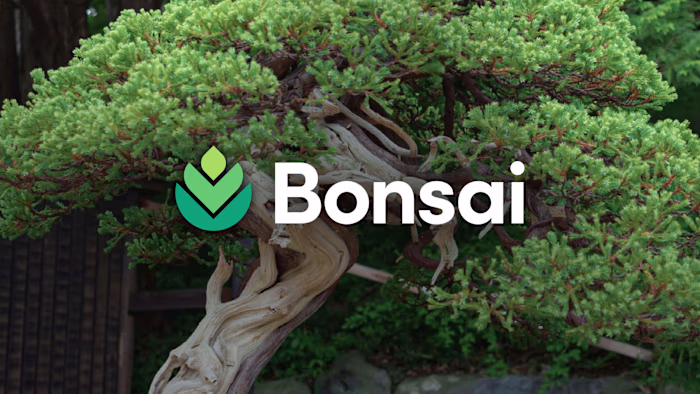Bonsai —  visual identity for a financial services advisory firm