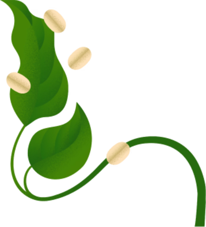 Promotional Content for Quite Nice's Prebiotic Oatmeal