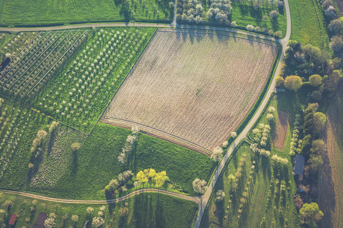How to Invest in Farmland