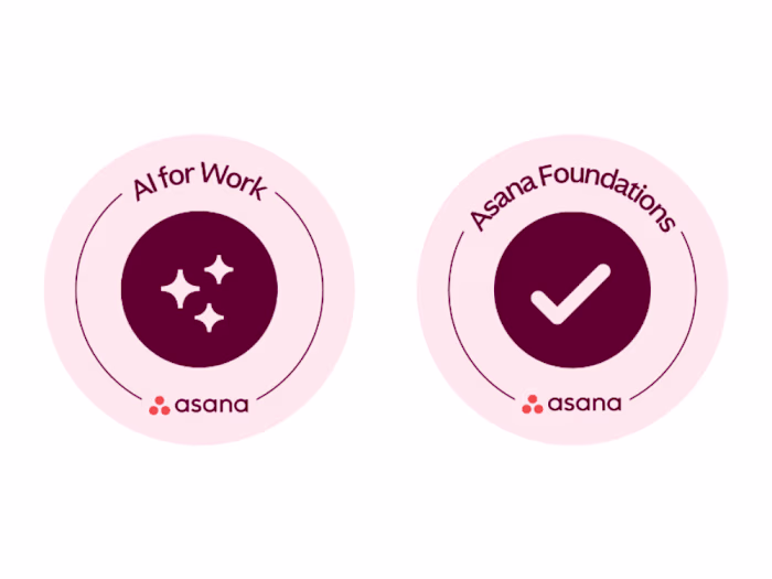 Asana Certified Automation and Workflow Expert