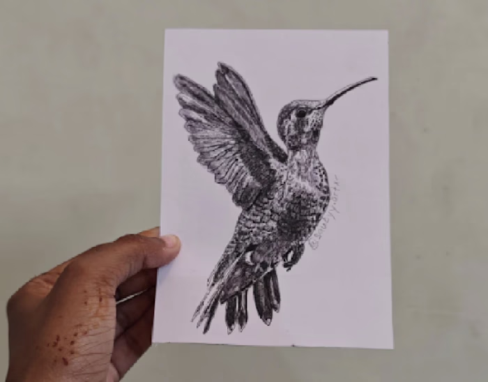 Postcard Illustration: Pen & Ink