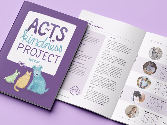 The Acts of Kindness Project for MSPCA 
