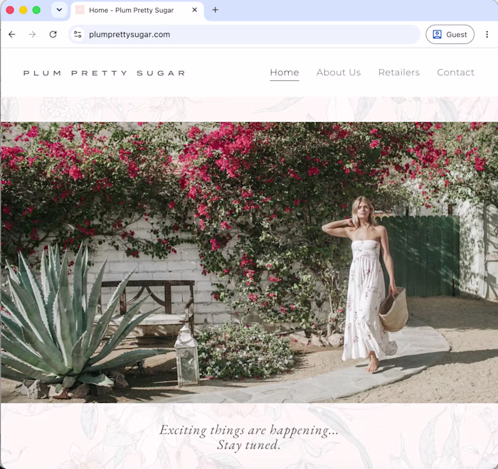 Website Design for fashion and lifestyle brand Plum Pretty S...