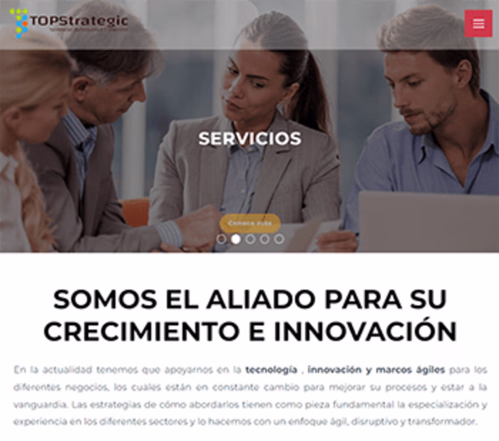 TopStrategic and Promart web development