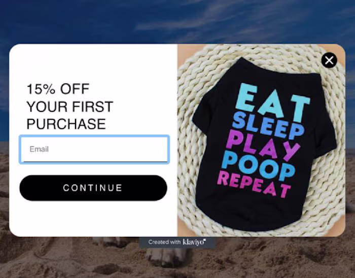 Email Pop Up Form