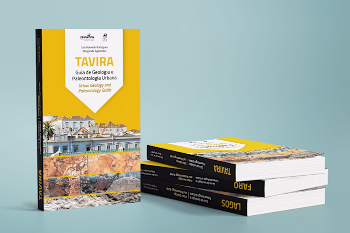 GEOLOGICAL GUIDES
Book layout and graphic