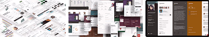 Oracle NetSuite ERP UX/UI design