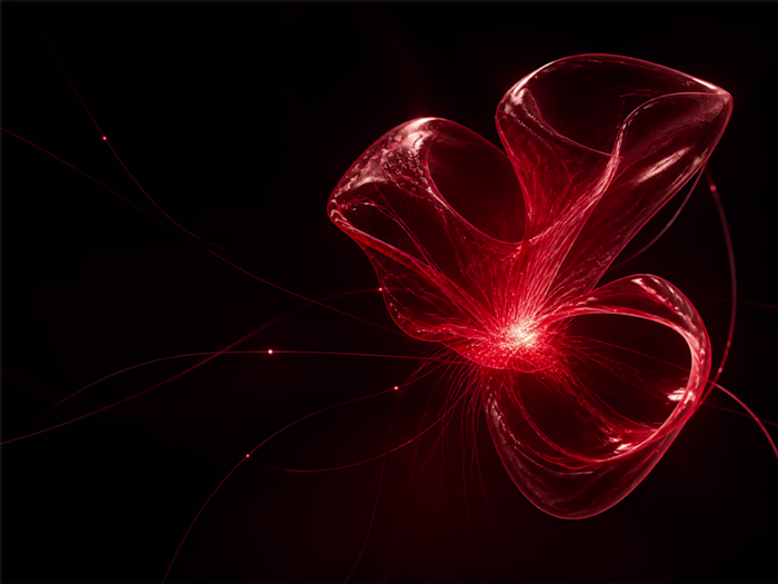 Nera — Applied AI Studio
