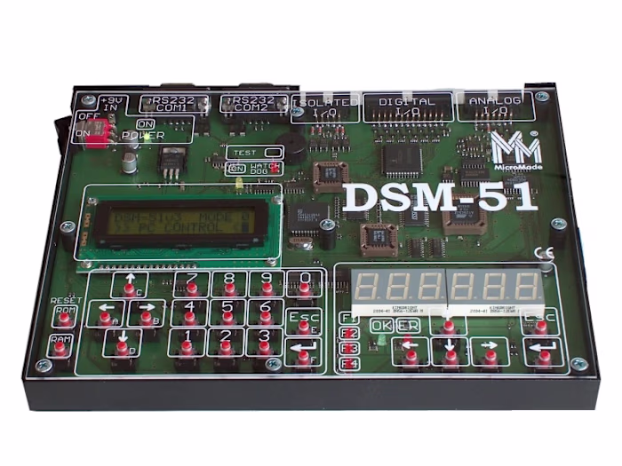DSM-51
