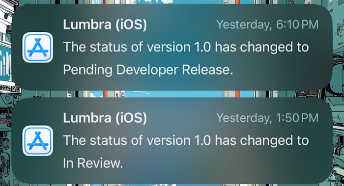 Had an iOS review stuck in 'In Review' state for 5 hours, th...