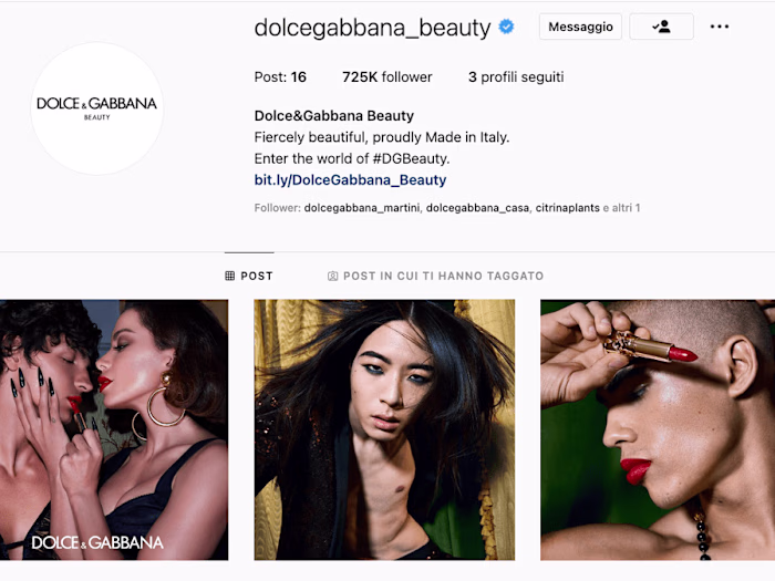 Dolce&Gabbana Instagram profiles (ENG)