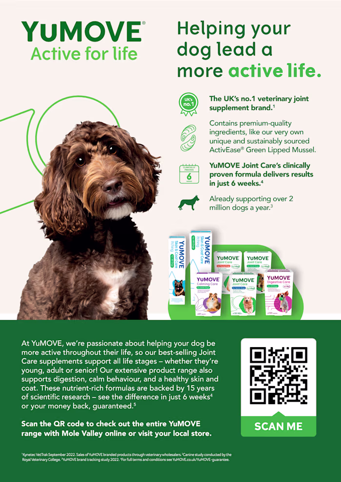 Newsletter Copy