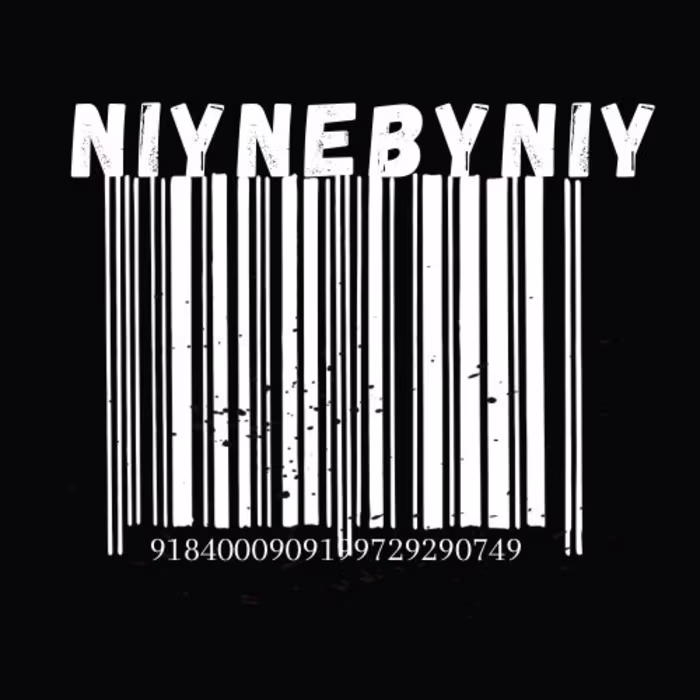 VIDEOGRAPHY/CONTENT CREATOR — ANIYA-HENRÈ | NIYNEBYNIY